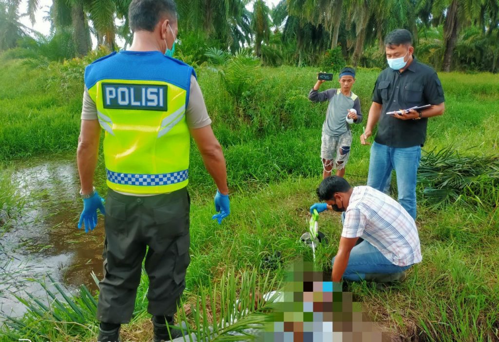 Pamit Pergi Mancing, Pria Tua Ditemukan Tewas Di Areal Kebun PT RSK ...