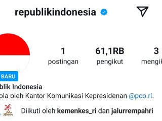 Tak Hanya untuk Presiden, Istana juga Buat Akun Instagram Negara Indonesia