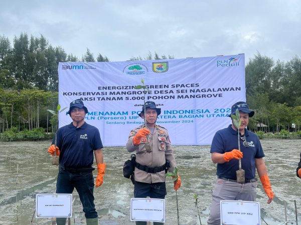 Peduli Lingkungan, PLN UIP SBU Gelar Aksi Tanam 5.000 Batang Mangrove di Pesisir Sergai