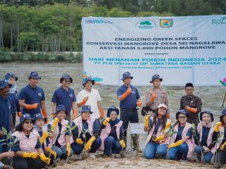 Srikandi PLN UIP SBU Sambut Nataru, Gelar Aksi Tanam 5.000 Mangrove di Sergai/foto: ist