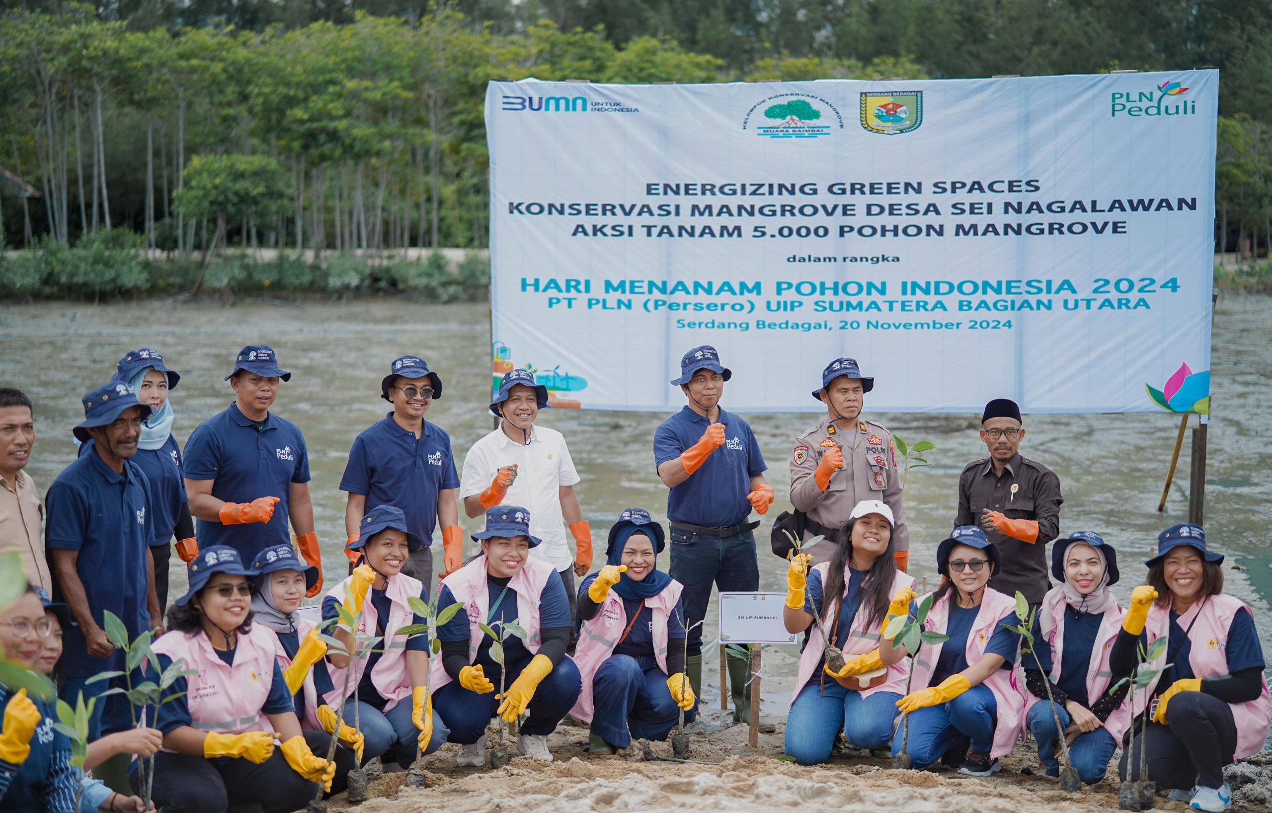 Srikandi PLN UIP SBU Sambut Nataru, Gelar Aksi Tanam 5.000 Mangrove di Sergai/foto: ist