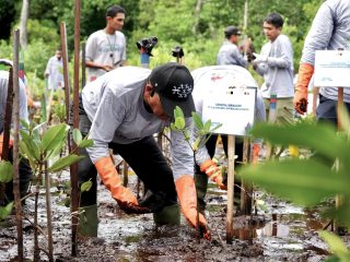 Di Momen Menanam Pohon Indonesia, PLN Gelar Program Energizing Green Spaces di Jayapura