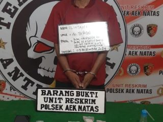 Gerebek Pesta Sabu di Perkebunan Sawit, Polsek Aek Natas Ringkus Seorang Pelaku